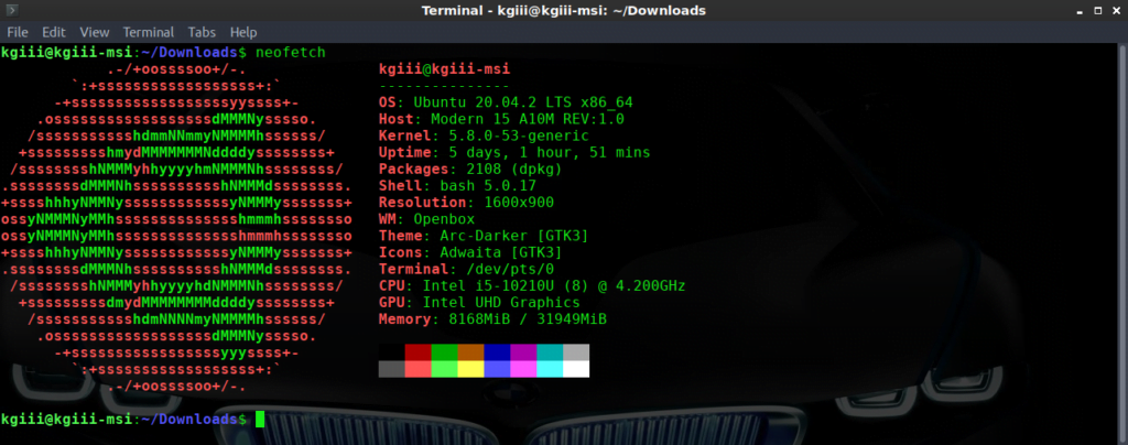 neofetch in action