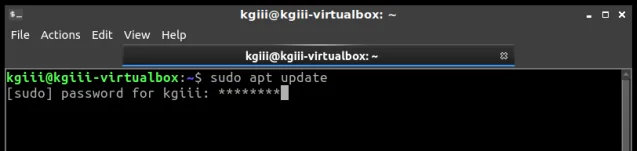 password with asterisk feedback in the terminal