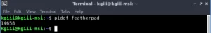 output from pidoff