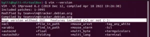 The output shows that this is the full version of Vim.